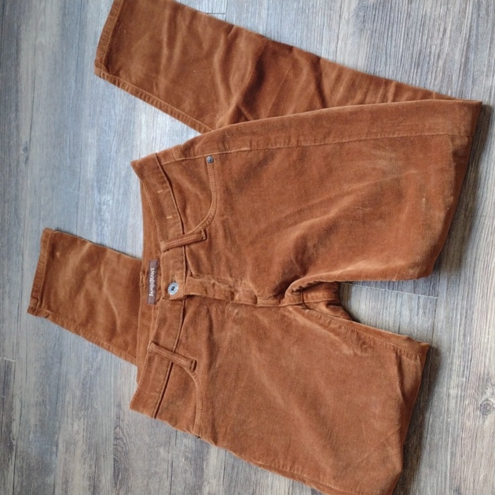 James Jeans Twiggy skinny jean
